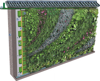 植物墻構(gòu)造圖
