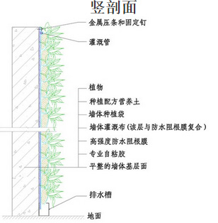 垂直綠化豎剖面圖